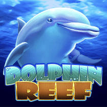 Dolphin Reef